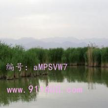 ǻ