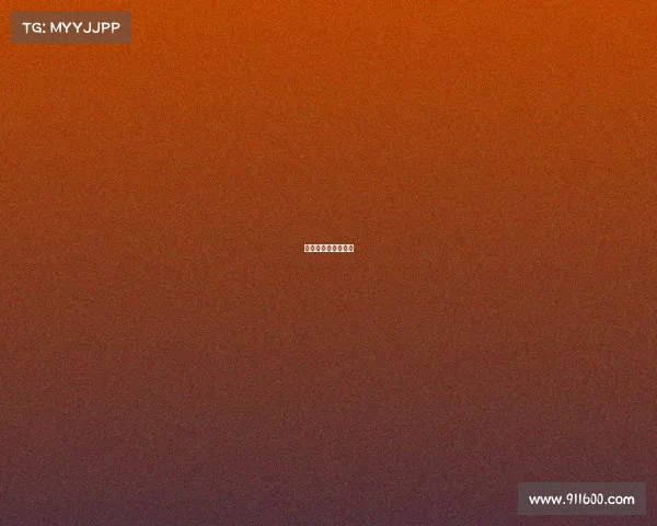 举办搏击赛事流程图